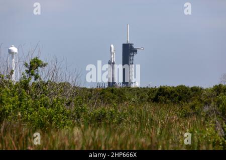 Am 24. Juni 2019 steht eine SpaceX Falcon Heavy Rakete auf dem Flugplatz des Launch Complex 39A im Kennedy Space Center der NASA in Florida zum Start bereit Stockfoto
