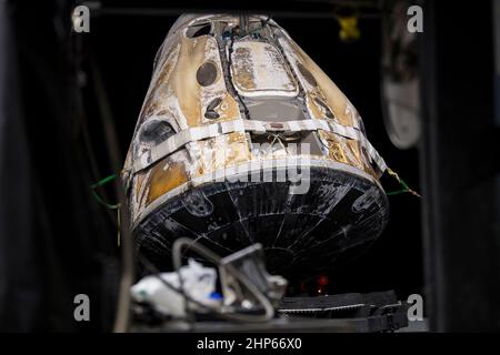 Die Raumsonde SpaceX Crew Dragon Endeavour wird auf das GO Navigator-Rückgewinnungsschiff gehoben, nachdem sie mit den NASA-Astronauten Shane Kimbrough und Megan McArthur, Astronaut Aki Hoshide, Japan Aerospace Exploration Agency (JAXA), gelandet ist. Und ESA-Astronaut Thomas Pesquet im Golf von Mexiko vor der Küste von Pensacola, Florida, Montag, 8. November 2021. Stockfoto
