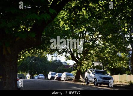 Autos in einer Wohnstraße geparkt Stockfoto