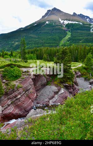 Blick auf den Red Rock Canyon und Mount Blakiston entlang des Wanderweges im Waterton Lakes National Park im Sommer Stockfoto