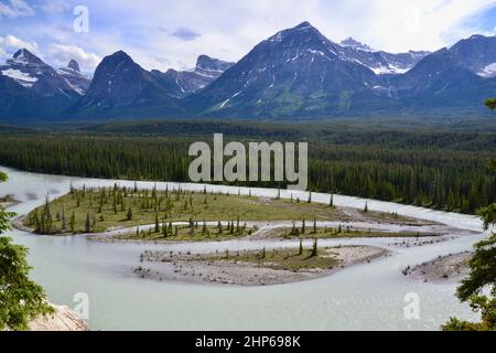 Goats and Glacier Aussichtspunkt über den Athabasca River im Jasper National Park im Sommer Stockfoto