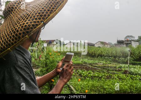 BOGOR, INDONESIEN - 18. Februar 2022: Farm verwendet Internet-Netzwerk als Fernsteuerung für Bewässerungsanlagen in Bogor, Indonesien, 18. Februar 2022 Stockfoto