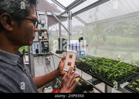 BOGOR, INDONESIEN - 18. Februar 2022: Farm verwendet Internet-Netzwerk als Fernsteuerung für Bewässerungsanlagen in Bogor, Indonesien, 18. Februar 2022 Stockfoto