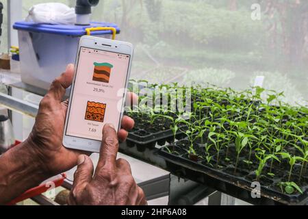 BOGOR, INDONESIEN - 18. Februar 2022: Farm verwendet Internet-Netzwerk als Fernsteuerung für Bewässerungsanlagen in Bogor, Indonesien, 18. Februar 2022 Stockfoto