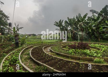BOGOR, INDONESIEN - 18. Februar 2022: Farm verwendet Internet-Netzwerk als Fernsteuerung für Bewässerungsanlagen in Bogor, Indonesien, 18. Februar 2022 Stockfoto