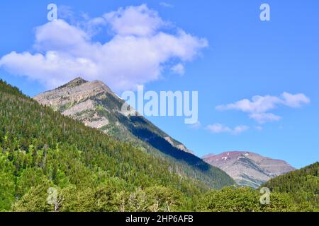 Berggipfel, die sich im Sommer im Waterton Lakes National Park über einem bewaldeten Hügel erheben Stockfoto