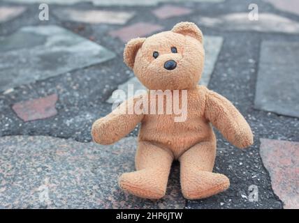 Teddybär Stockfoto