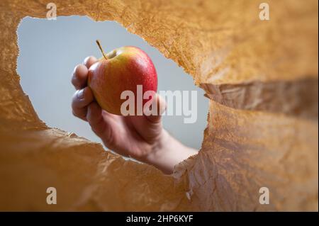 Eine Hand legt einen roten Apfel in einen braunen Papierbeutel. Die Hand eines reifen Mannes hält die reifen Früchte über dem offenen braunen Beutel. Von unten nach oben geschossen. Nahaufnahme. S Stockfoto