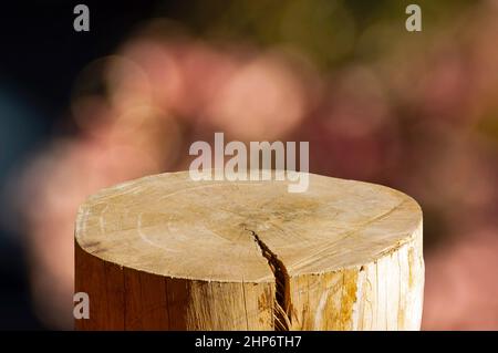 Runde Holzsäge geschnitten Zylinderform für Produktanzeige mit rosa Bokeh abstrakten Hintergrund Stockfoto