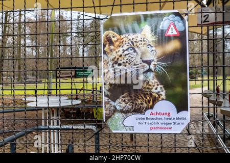 Cottbus, Deutschland. 19th. Februar 2022. Am Haupteingang des Cottbus Zoos weist ein Schild auf die heutige wetterbedingte Schließung des Parks hin. Morgen, Sonntag, wird der Zoo regelmäßig geöffnet. Quelle: Frank Hammerschmidt/dpa/Alamy Live News Stockfoto