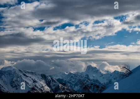 Auf dem Berg Zoncolan, Karnischen alpen nach einem großen Schneefall. Provinz Udine, Region Friaul-Julisch Venetien, Italien Stockfoto