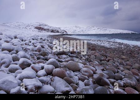 Düsterer Februartag am Ufer der Barentssee. Nachbarschaft des Dorfes Teriberka. Murmansk Region, Russland Stockfoto