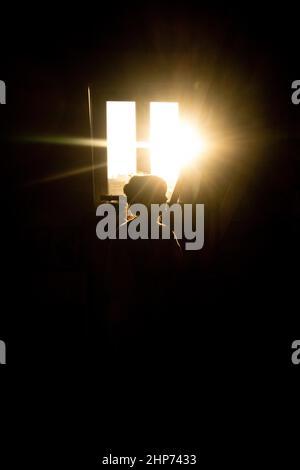 Belgien, Brüssel, Frühjahr 2021. Illustration des Alltags in Brüssel, der Hauptstadt Belgiens. Foto von Martin Bertrand. Belgique, Bruxelles, Pri Stockfoto