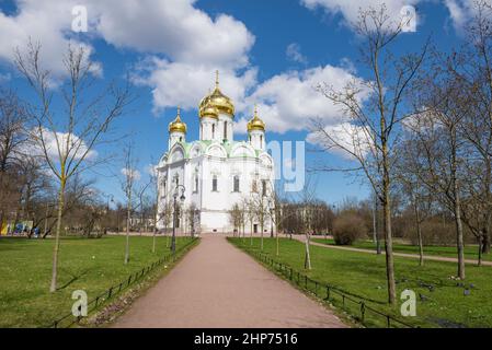 Blick auf die Kathedrale der Heiligen Großen Märtyrerin Katharina an einem sonnigen Maitag. Puschkin (Zarskoje Selo), Russland Stockfoto