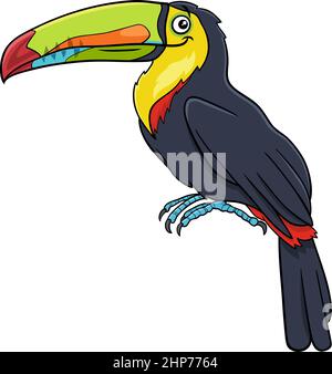 toucan Vogel Tier Charakter Cartoon Illustration Stock Vektor