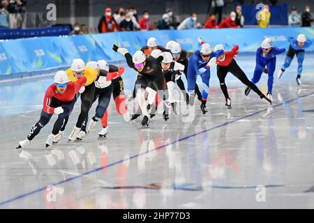 Peking, China. 19th. Februar 2022. Eisschnelllauf: Olympiade, Vorlauf, Massenstart, Männer, Halbfinale, Das Feld beginnt. Kredit: Peter Kneffel/dpa/Alamy Live Nachrichten Stockfoto