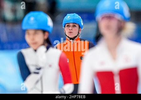 Peking, China. 19th. Februar 2022. Irene Schouten aus den Niederlanden, die während der Olympischen Spiele 2022 in Peking beim National Speed Skating Oval am 19. Februar 2022 beim Frauen-Massenstart-Halbfinale beim National Speed Skating Oval in Peking, China, antritt (Foto von Douwe Bijlsma/Orange Picics) NOCNSF Credit: Orange Pics BV/Alamy Live News Stockfoto