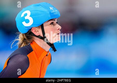 Peking, China. 19th. Februar 2022. Irene Schouten aus den Niederlanden, die während der Olympischen Spiele 2022 in Peking beim National Speed Skating Oval am 19. Februar 2022 beim Frauen-Massenstart-Halbfinale beim National Speed Skating Oval in Peking, China, antritt (Foto von Douwe Bijlsma/Orange Picics) NOCNSF Credit: Orange Pics BV/Alamy Live News Stockfoto