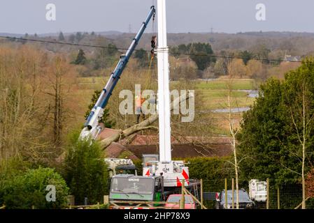 New Forest, Hampshire, Großbritannien, 19th. Februar 2022, Wetter: Ingenieure arbeiten daran, einen gefallenen Baum, der in das Dach eines Grundstücks in der Nähe von Fordingbridge eingebettet ist, zu Bergen. In England und Wales wird nach dem Sturm Eunice, der gestern mit 80mph Winden große Schäden angerichtet hat, eine Aufräumoperation durchgeführt. Kredit: Paul Biggins/Alamy Live Nachrichten Stockfoto