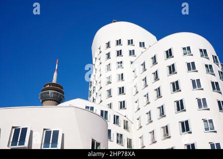 Weiße Gebäude des Stararchitekten Frank O. Gehry im Neuen Zollhof, Medienhafen, mit Rheinturm im Hintergrund. Stockfoto