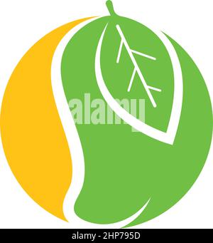 Mango Obst Vektor Illustration Design Stock Vektor