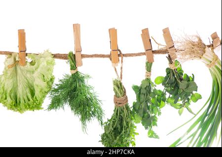 Set von Gewürzkräutern isoliert auf weißem Hintergrund Trauben von Thymian, Basilikum, Oregano, Petersilie Stockfoto