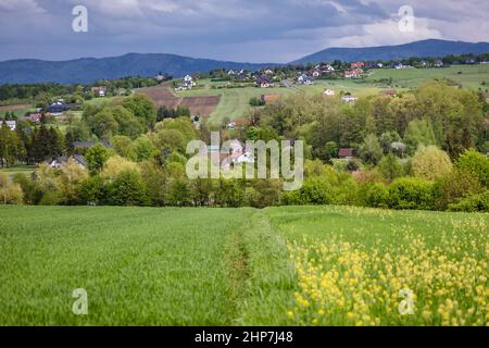 Landschaft in der Nähe des Dorfes Miedzyrzecze Gorne in der Gemeinde Jasienica, Kreis Bielsko, Woiwodschaft Schlesien im Süden Polens Stockfoto