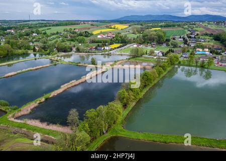 Luftaufnahme von Fischteichen im Dorf Miedzyrzecze Gorne im Kreis Bielsko, Woiwodschaft Schlesien in Mittelpolen Stockfoto