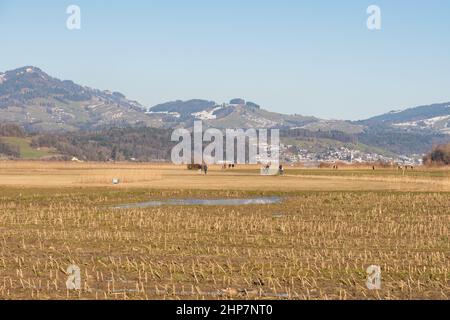 Wangen-Lachen, Schweiz, 13. Februar 2022 Bergpanorama an einem sonnigen Tag Stockfoto