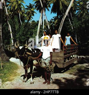 Öffentliche Verkehrsmittel mit dem Ochsenwagen auf der Insel La Digue, Seychellen ca. Anfang 1970s Stockfoto