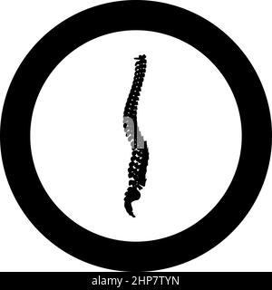 Wirbelsäule Wirbelsäule Wirbelsäule Symbol im Kreis rund schwarz Farbe Vektor Illustration Bild solide Kontur Stil Stock Vektor