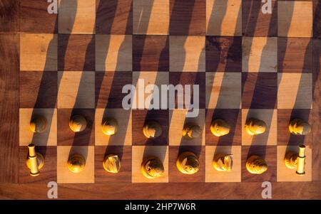 Holzschachbrett mit Holzstücken mit Sonnenlicht. Selektiver Fokus auf weiße Stücke Stockfoto
