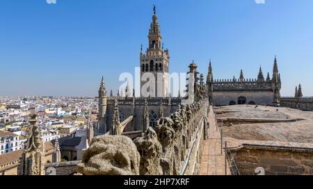 La Giralda – Nahaufnahme des obersten Tits der Giralda, von einem schmalen Pfad aus gesehen, der sich am Mittelschiff auf dem Dach der Kathedrale von Sevilla befindet. Sevilla, Spanien. Stockfoto