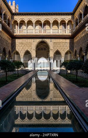 Innenhof der Jungfrauen – Jahrhunderte alte und gut erhaltene Gebäude, die sich in einem Pool im Innenhof der Jungfrauen in Alcazar von Sevilla, Spanien, spiegeln. Stockfoto