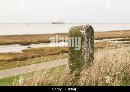 Ein Pol am Uferdamm vor dem braunen Salzmarsch im westerschelde-Meer an der niederländischen Küste in zeeland im Winter Stockfoto