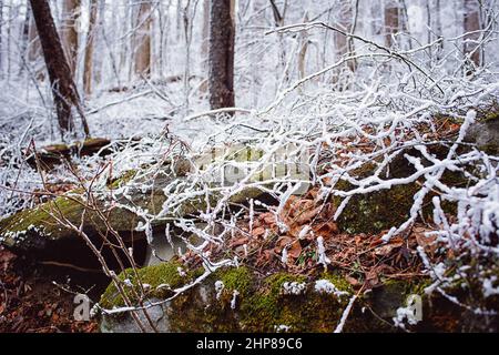 Majestätische Aussicht auf das eisige Waldwunderland des Rauhfrosts im Great Smoky Mountain National Park auf der neu entdeckten Gap Road in den südlichen Appalachen. Stockfoto