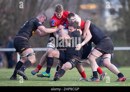 Heidelberg, Deutschland. 19th. Februar 2022. Rugby Europe Trophy, Matchday 6, Deutschland - Belgien. Anthony Dickinson (Deutschland, 3) trägt den Ball, wird von Toon Deceuninck (Belgien, 6) und Guillaume Mortier (Belgien, 4) angegriffen. Quelle: Jürgen Kessler/Kessler-Sportfotografie/dpa/Alamy Live News Stockfoto