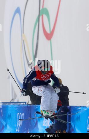 Peking, Hebei, China. 19th. Februar 2022. David Wise (USA) beim Halbpipe-Finale der Ski-Freestyle-Herren während der Olympischen Winterspiele 2022 in Peking im Genting Snow Park. (Bild: © David G. McIntyre/ZUMA Press Wire) Stockfoto