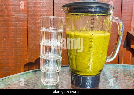 Grüner gesunder Smoothie mit Gemüse Obst Bananensalat und Grüns im Mixer und Glas mit Eiswürfeln in Hemsedal Norwegen. Stockfoto