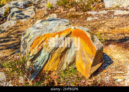 Schöne bunte gebrochene Steinwand Struktur mit orangefarbenem und gelbem Moos und Flechten und Farben im Inneren in Hemsedal Norwegen. Stockfoto