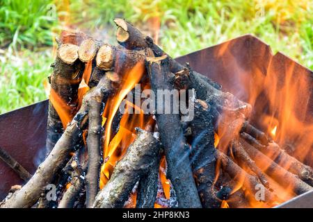 Lagerfeuer aus Ästen von Obstbäumen. Flamme flattert im Wind. Grünes Gras leuchtet durch die Flammen. Prozess der Vorbereitung von Kohlen für den Grill. Schließen Stockfoto