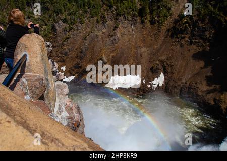 Tourist fotografiert einen Regenbogen am Brink of the Upper Falls am Yellowstone River im Yellowstone National Park, horizontal Stockfoto