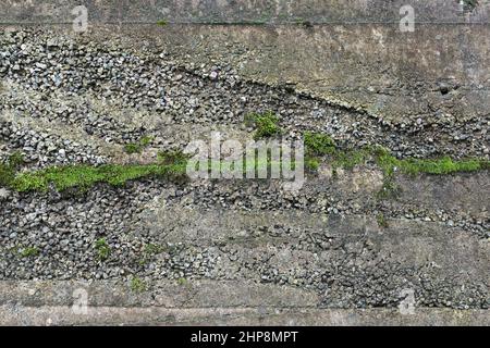 Dunkelgraue Betonwand mit Moos, abstrakter Hintergrundstruktur Stockfoto