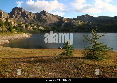 Die Ufer des Lac d'Allos an einem späten Julinachmittag (Mercantour Park, Alpes-de-Haute-Provence, Frankreich) Stockfoto