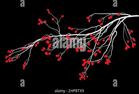Zeichnung eines Weißdorn-Zweiges Stock Vektor
