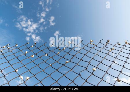 Sommerlandschaften in der Nähe der Stadt Ruse im Norden Bulgariens Stockfoto