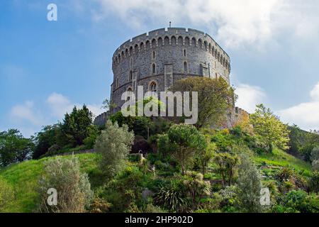 Der sich abzeichnende runde Turm von Windsor Castle. Eine festung im motte- und bailey-Stil in Windsor, in der englischen Grafschaft von England. Gärten und Pflanzen füllen den Hügel Stockfoto