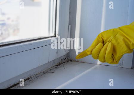 Eine Frau in einem Gummihandschuh zeigt auf die Form. Kunststofffenster und Fensterbank in Schimmel und Schmutz. Pilz und Feuchtigkeit am nassen Fenster. Platz für Text. Geringe Schärfentiefe. Stockfoto