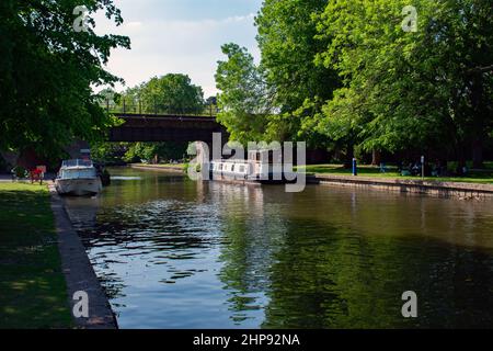 Kanalboote entlang der Themse in Windsor, in der britischen Grafschaft, gebunden. Eine Eisenbahnbrücke überquert den Fluss und Bäume säumen die Ufer. Stockfoto