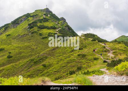 Alpiner Wanderweg. Eine steinerne kurvenreiche Straße, umgeben von grünen Pflanzen, Alpenrosen. Verschneite Berge im Hintergrund. Stockfoto